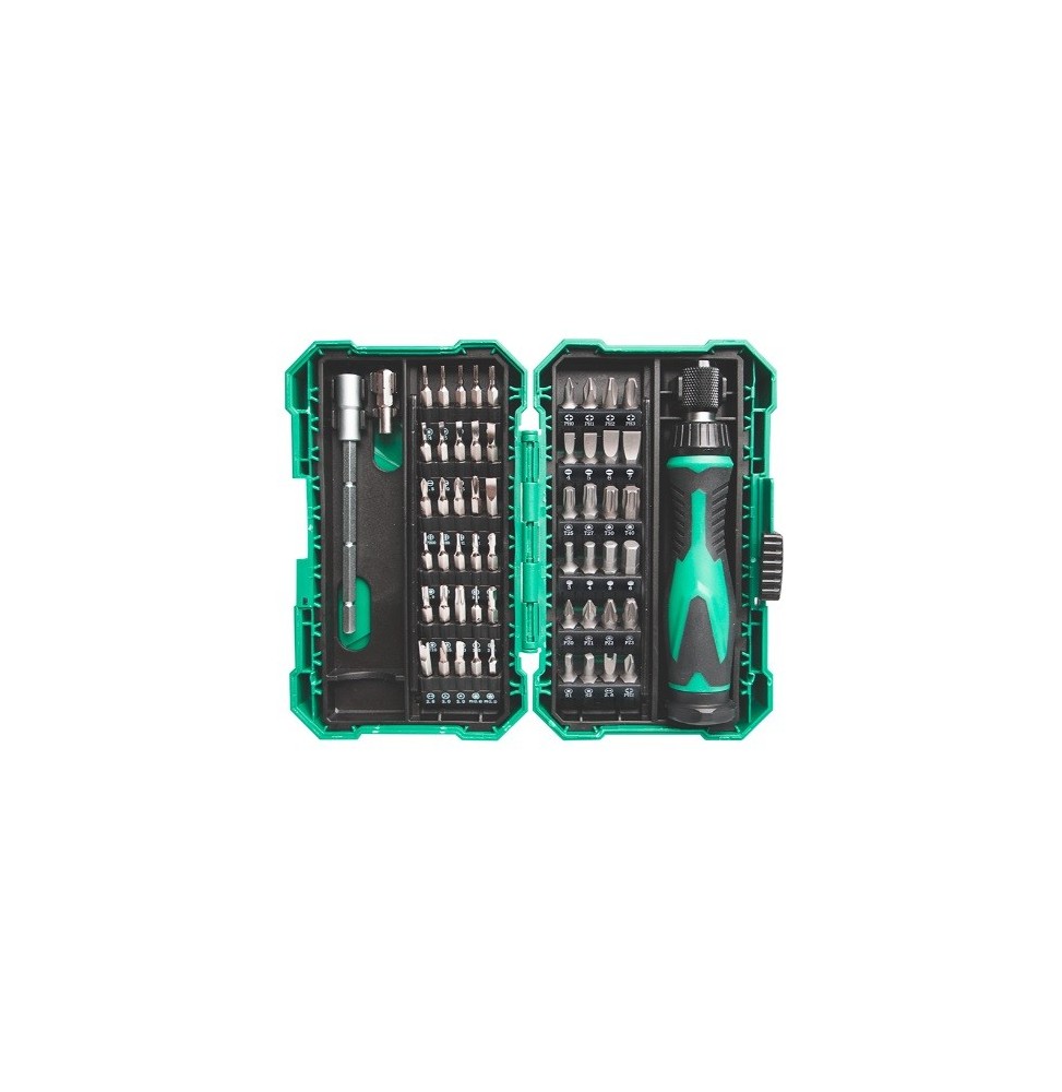 Set 57 Pezzi inserti di precisione con manico prolungabile Pro'sKit SD-9857M