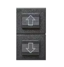 Doppio Pulsante unipolare 10A con frecce  Ave Noir 45356