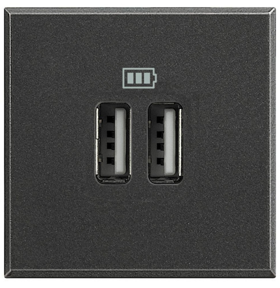 Caricatore USB per ricarica rapida con due ingressi Tipo A Bticino Axolute HS4285C2