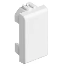 Falso Polo Bticino 1 Modulo Serie Matix AM5000