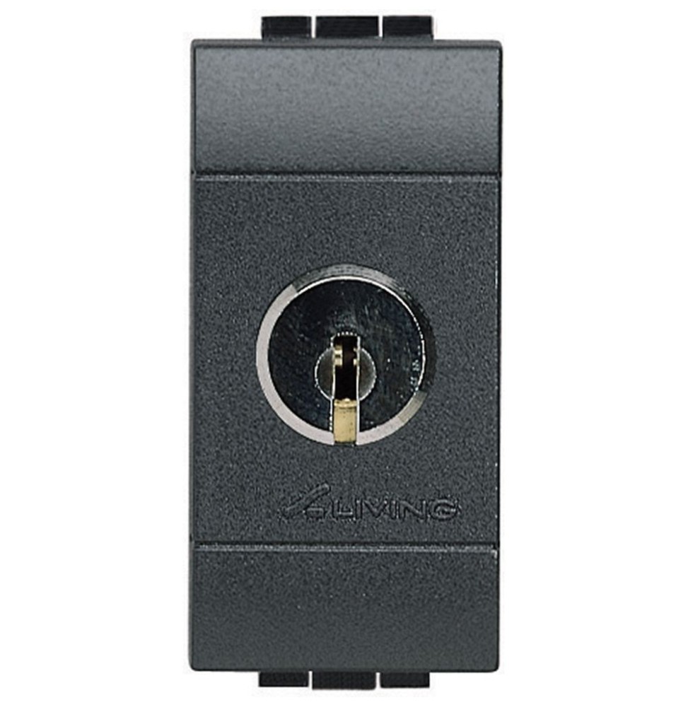 Interruttore a chiave bipolare Bticino Living 16A Antracite L4012