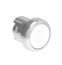 Pulsante ad impulso Bianco serie Platinum Foro 22 LPSB108