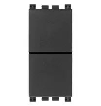 Doppio pulsante non illuminabile 10A Vimar Arke' Grigio 19066