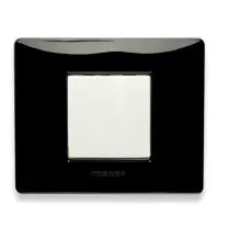 Placca Master Mix 2 posti Nero Tecnopolimero 21MX202