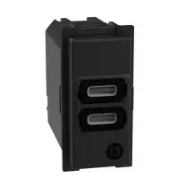 Caricatore USB Living Now con 2 porte di tipo C 15W 1 modulo BTicino  K4191CC