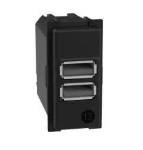 Caricatore USB Living Now con due porte Tipo A 15W BTicino  K4191AA