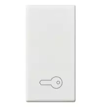 Copritasto un modulo simbolo chiave Vimar Plana 14021.P