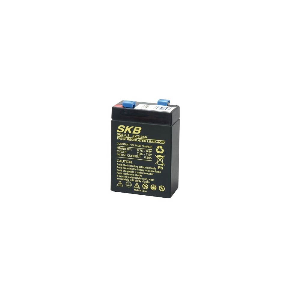 Batteria al piombo 6V 3,2AH Verticale