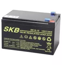 Batteria al piombo 12V 12AH con terminali Faston GBC