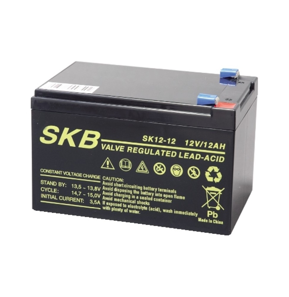 Batteria al piombo 12V 12AH con terminali Faston GBC
