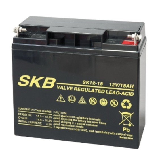 Batteria al piombo 12V 18AH con terminali a vite GBC