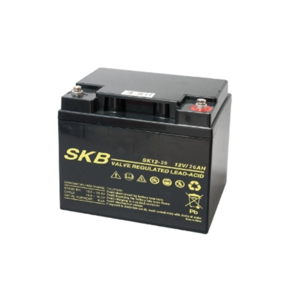 Batteria al piombo terminali a vite tecnologia AGM 12V 26AH GBC