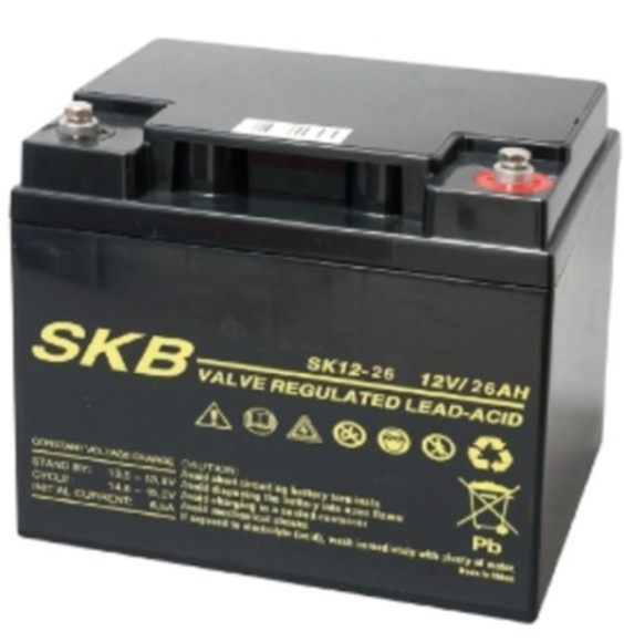 Batteria al piombo terminali a vite tecnologia AGM 12V 26AH GBC