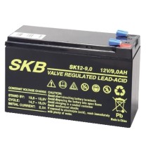 Batteria al piombo 12V 9AH con terminali Faston GBC