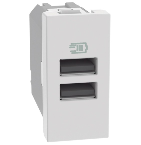 Caricatore Bticino MatixGo con 2 porte USB 1 modulo Bianco  JW4191AA