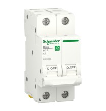 Interruttore Magnetotermico 6A 1P+N Schneider R9F37606