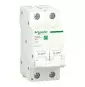 Interruttore Magnetotermico 25 A 1P+N Schneider R9F37625