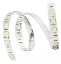Strip LED adesiva 24V 5mt LED 5050 IP20 3000K Lampo REEL245050IP20BC