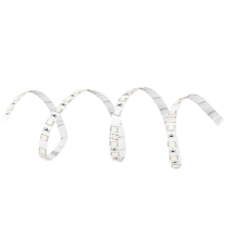 Strip LED adesiva 24V RGB 5mt LED 5050 IP20 Lampo LED300IP20RGBW24