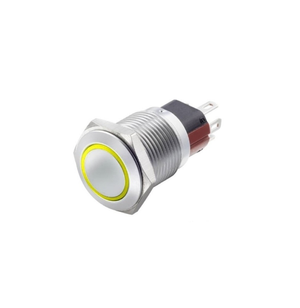 Interruttore antivandalo 1NA+1NC 16MM luminoso Giallo 24V IP65