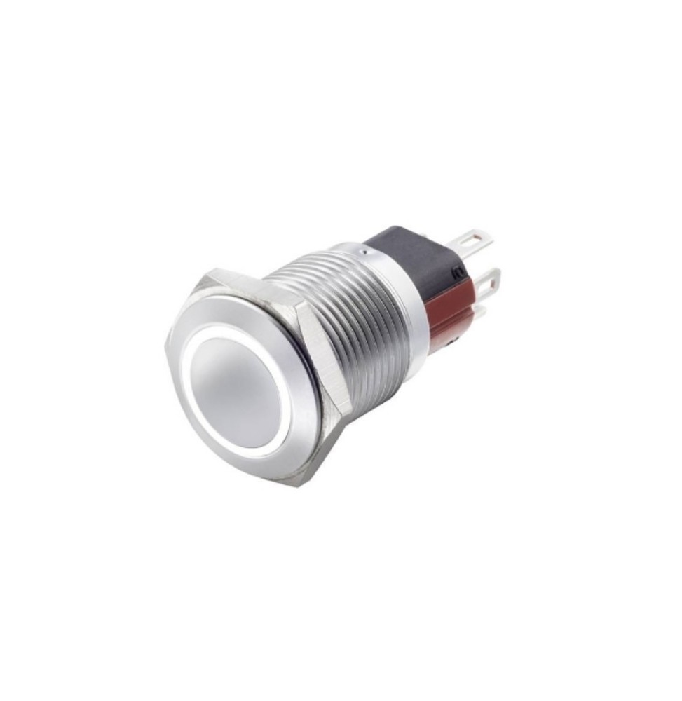 Interruttore antivandalo 19MM luminoso 24V bianco IP65 1NA+1NC
