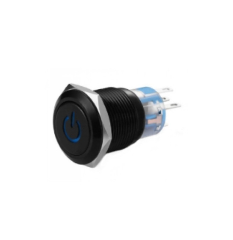 Interruttore antivandalo 1NA+1NC 19MM luminoso 12V blu IP65